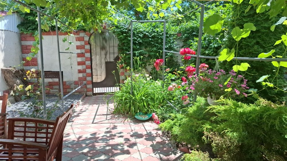 Сдам  дом Фонтанке 2 ,отдельно стоящий гостевой домик