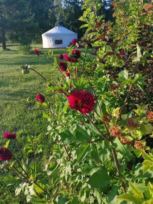 Wynajem Willa Szarlotta-noclegi, imprezy, kwatery pracownicze, jacuzzi