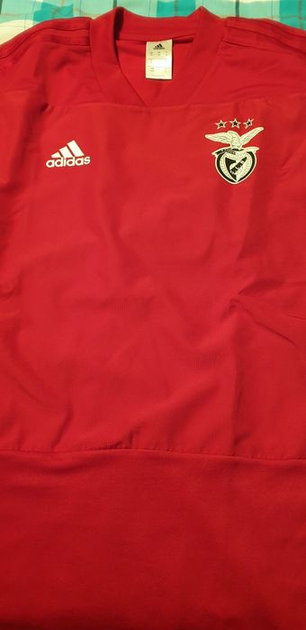 Camisola treino benfica