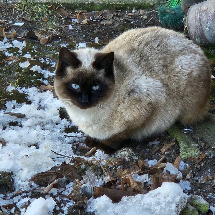 Wspólny dom poszukiwany.