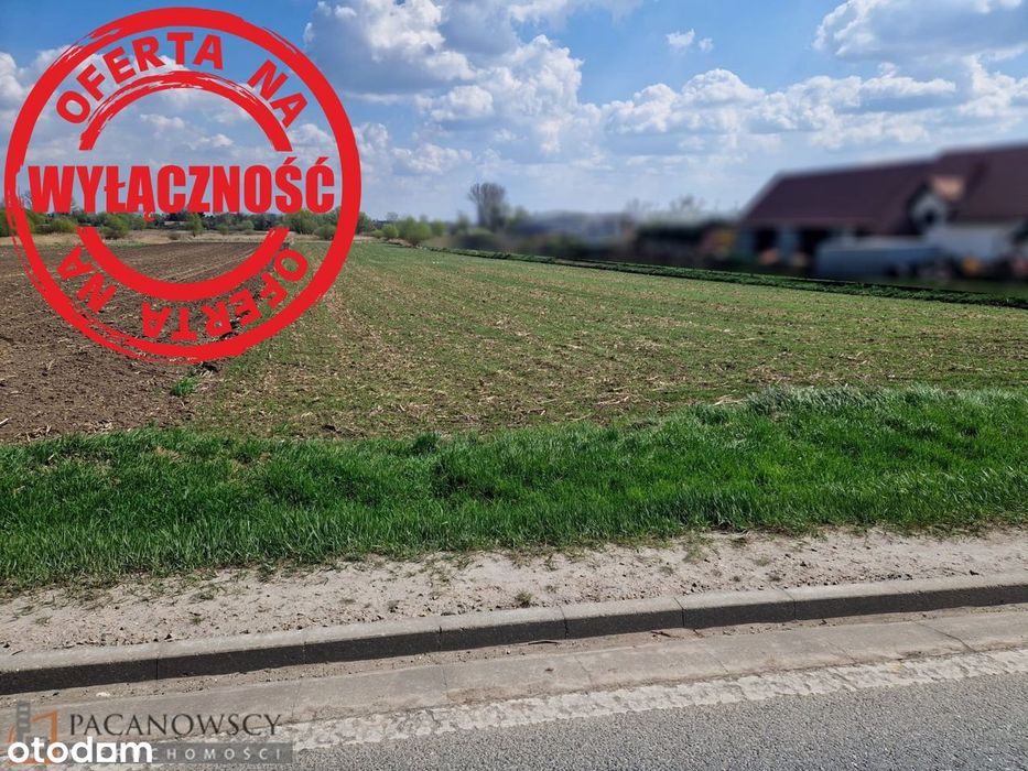 Działka na sprzedaż, Proszowice (gw)