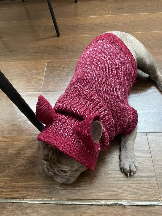 Вязанный костюм  для собаки