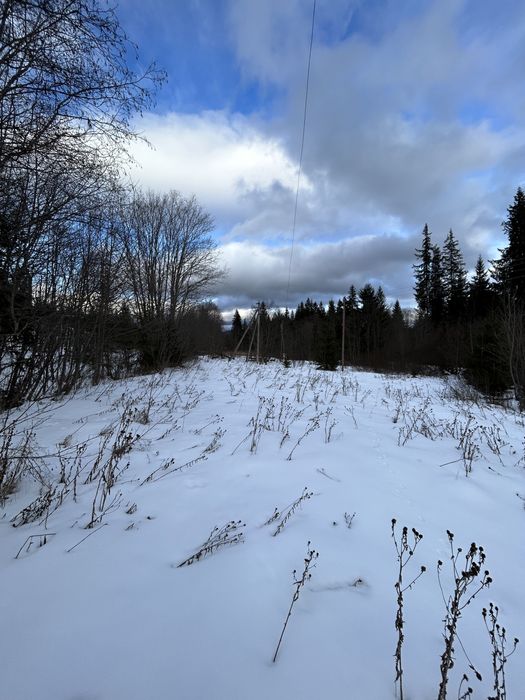 15 сотин під забудову біля Говерли. Рівна ділянка, хороший доїзд
