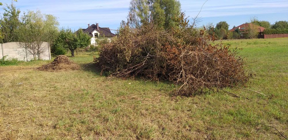 Oddam gałęzie na zrębki za darmo