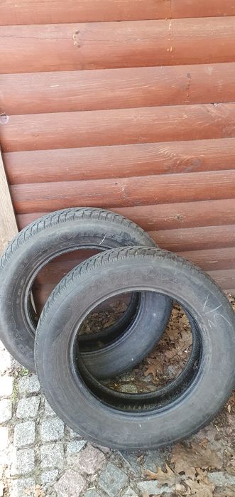 Продам резину Dunlop