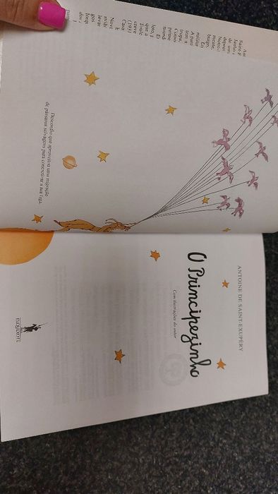 O principezinho novo