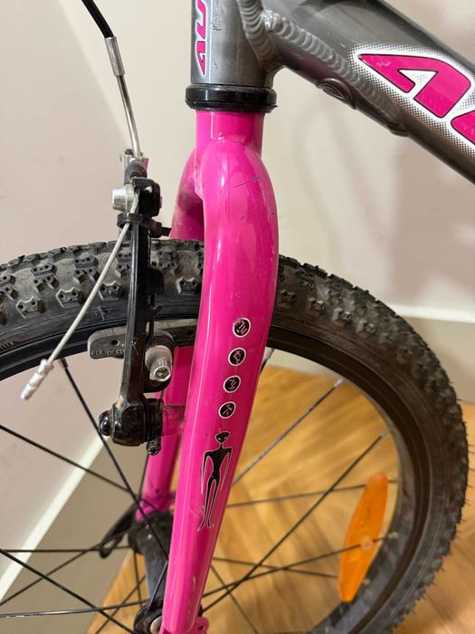 Bicicleta Criança 20" Alumínio 6 Velocidades Shimano, Author Cosmic