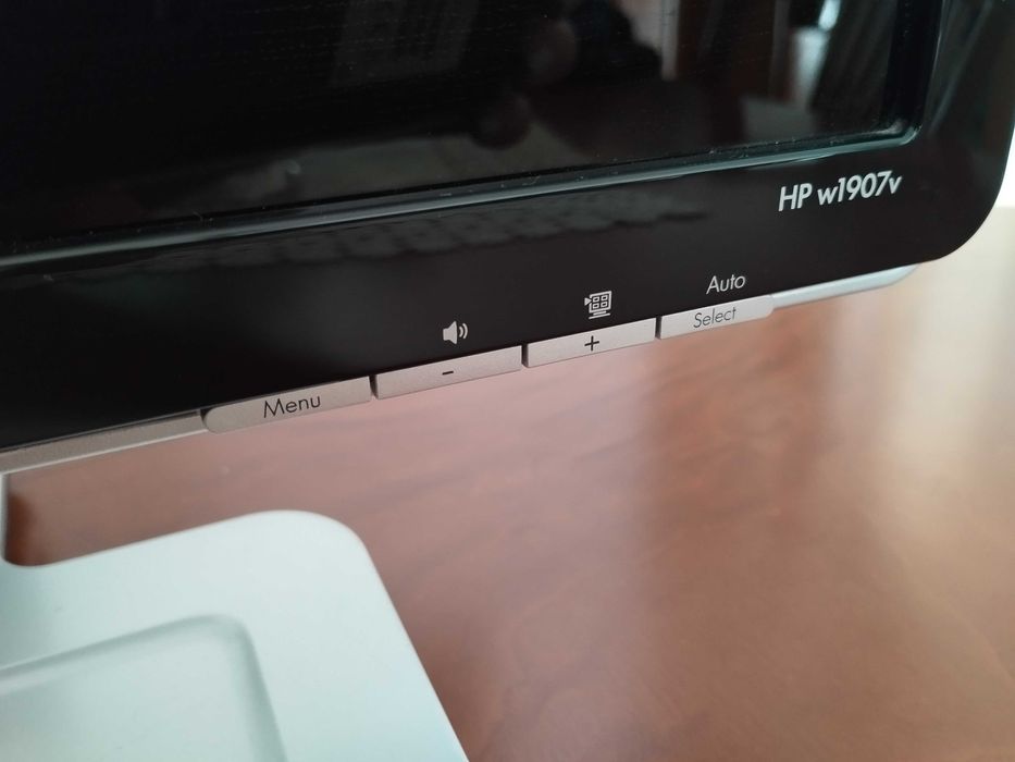 Monitor HP w1907V (entrada VGA)