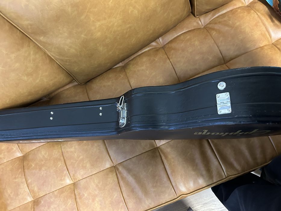 Case Epiphone Les Paul