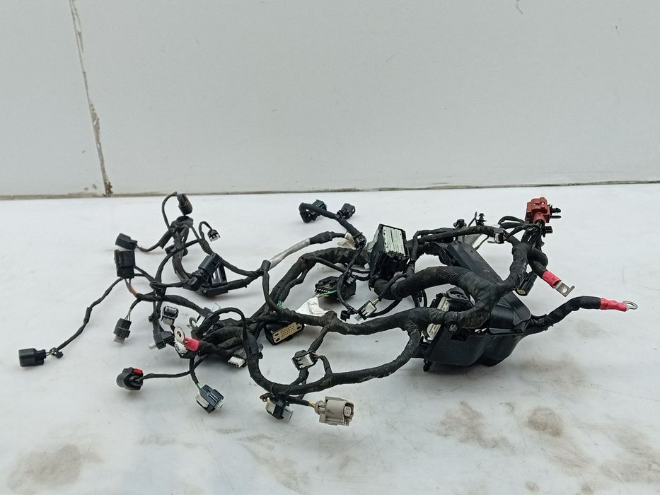 Instalação elétrica do motor / cablagem do motor FORD Puma (J2K, CF7)