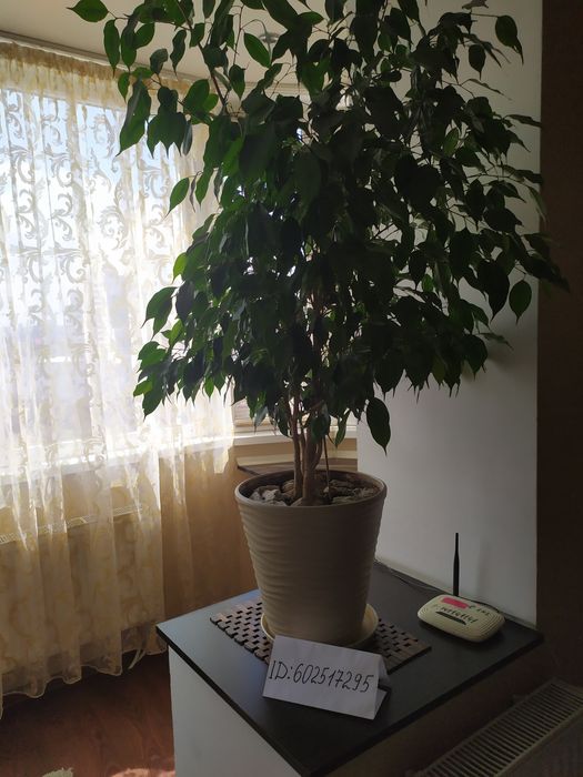 В ЕЛІТНОЙ Новобудові, центр,Зарічанська, 57/1.чек,можливо на 1 міс.