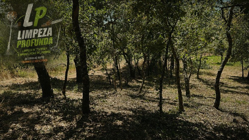 Limpeza de Terrenos e Jardinagem