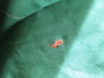 Sweatshirt Polo Ralph Lauren nova coleção