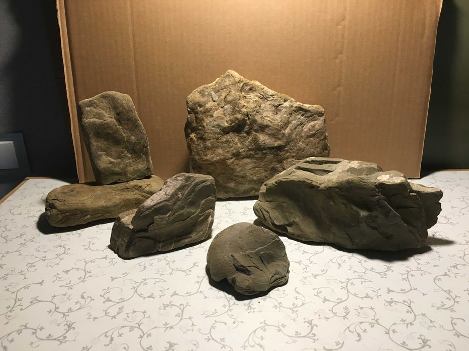 Зоотовари для дизайну тераріум