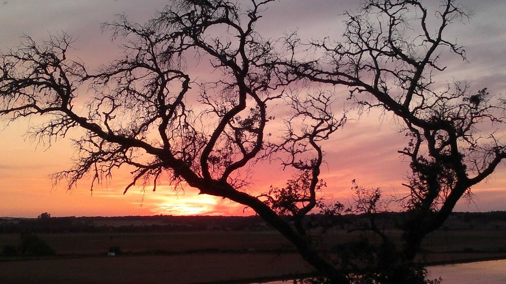 casa 3 quartos +1 em Herdade perto do cercal do alentejo, aluga-se a empresas até 8 trabalhadores 30m de Sines