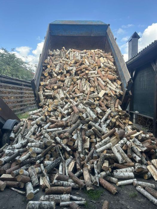Дрова сосна,береза.