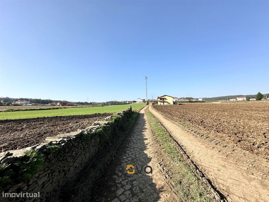 Terreno rústico para atividade agrícola. Póvoa de Varzim |  Nova Imobi