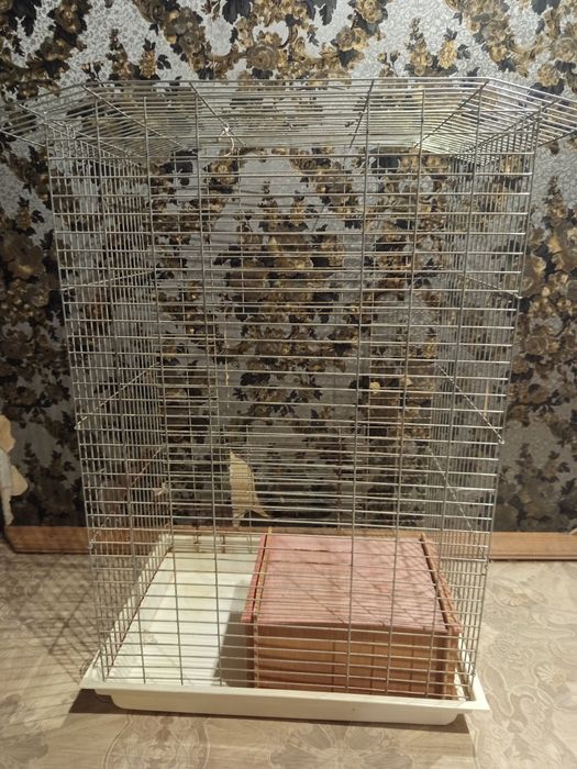 Клітка для попуг або пацюків