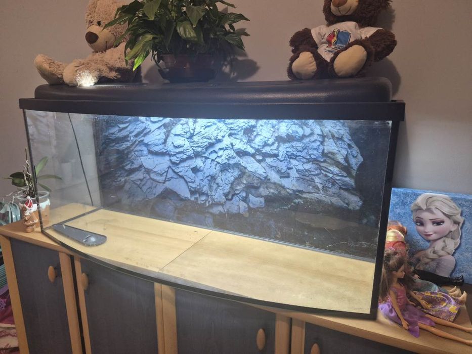 Akwarium plus oświetlenie i filtr