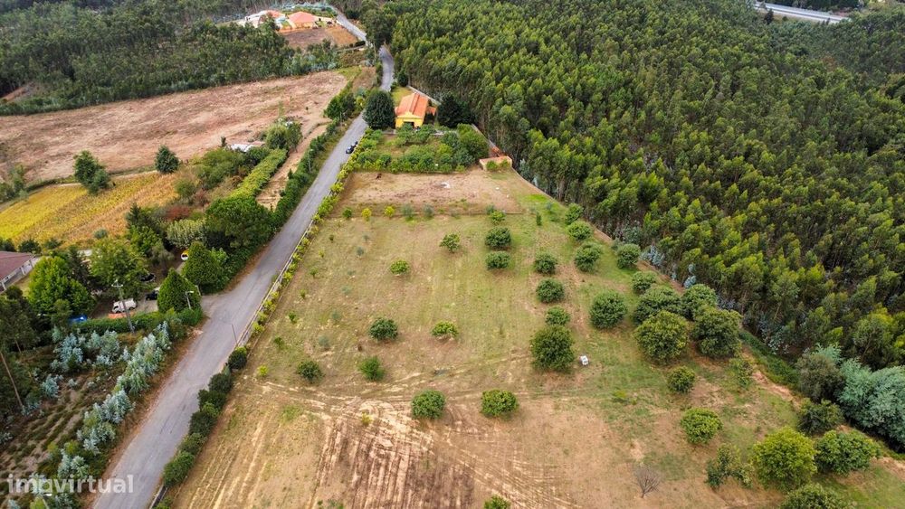 Exclusive Estate in Canedo – 21,860 m² of Potential and Tradition