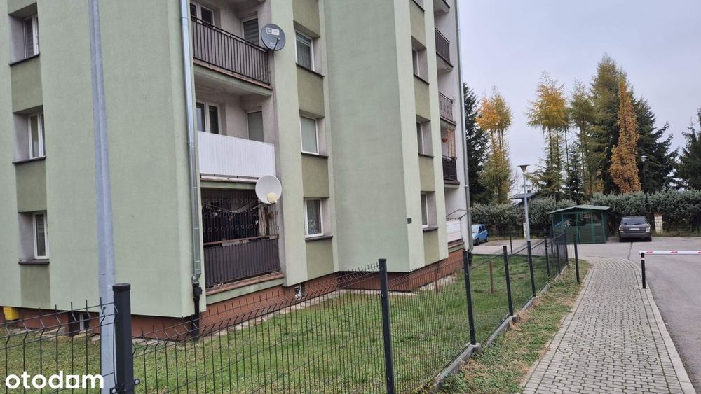 Zdjęcie 8