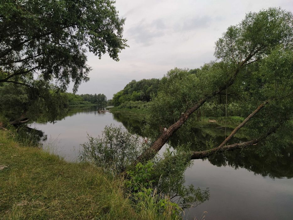 Будинок. Сумська обл. Конотопський р-н. с. Мутин