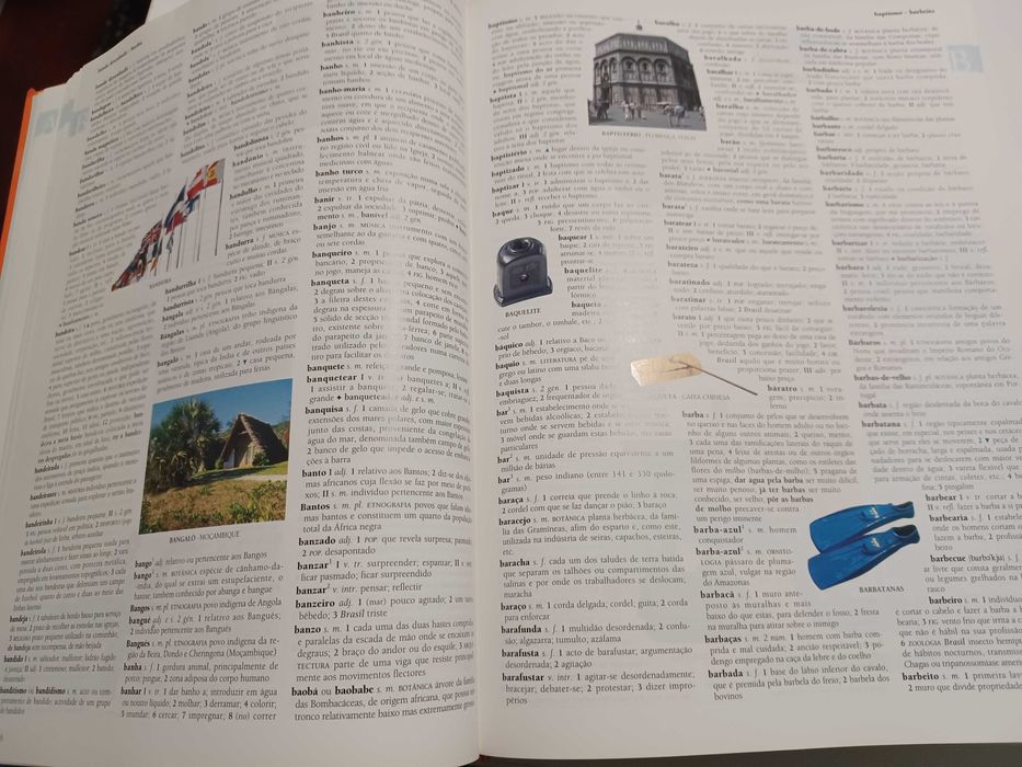 Dicionário Ilustrado de Lingua Portuguesa