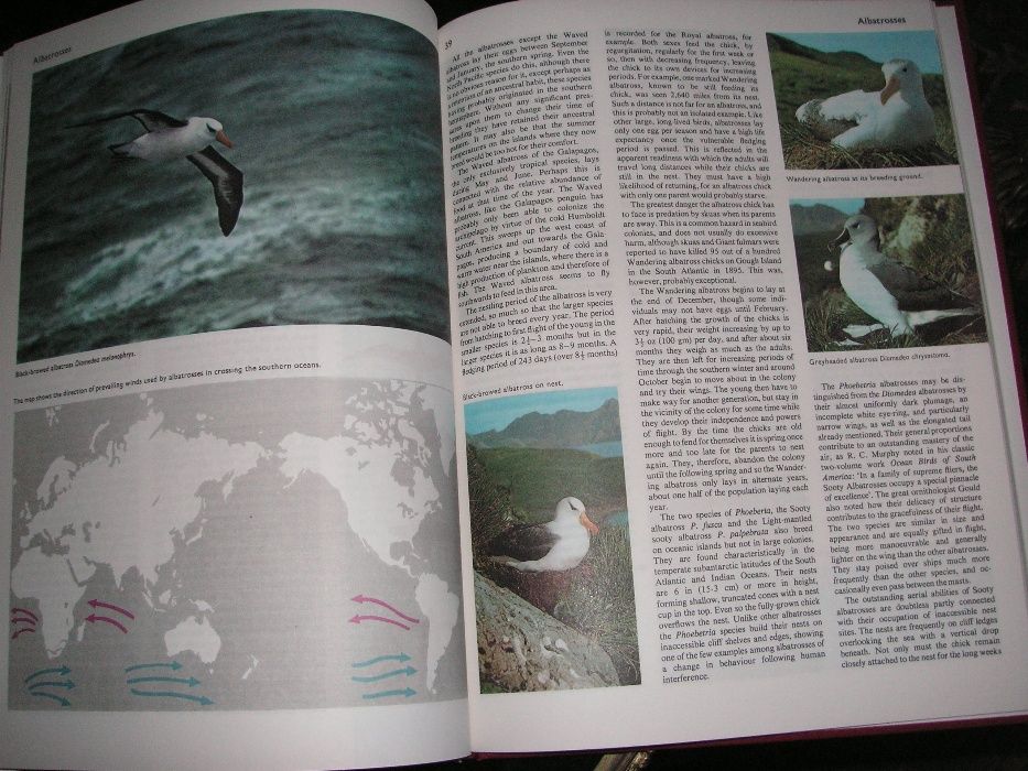 Encyclopedia of The Animal World (Impecável)