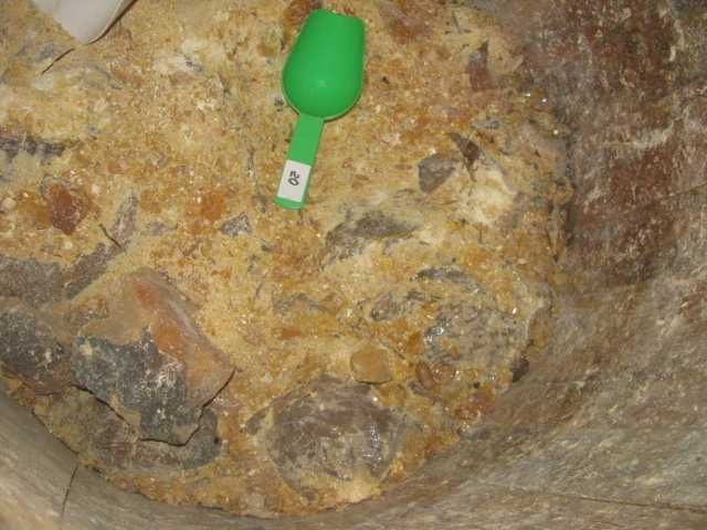 Каніфоль соснова.