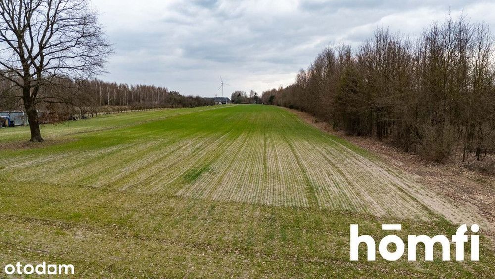 Działka W Bierwieckiej Woli - Widok 2