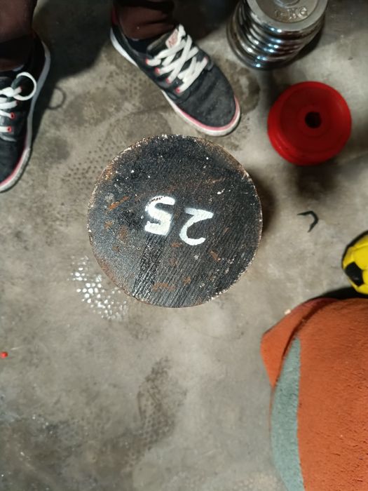 Halteres barras e discos