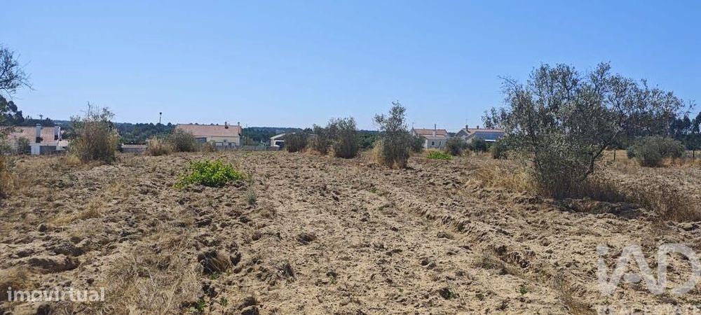 Terreno para construção em Branca de 7020,00 m2