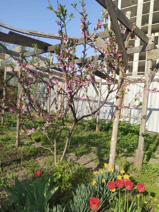 Продам Дом О.Поля/Кирова, Ульянова/Херсонская Центр