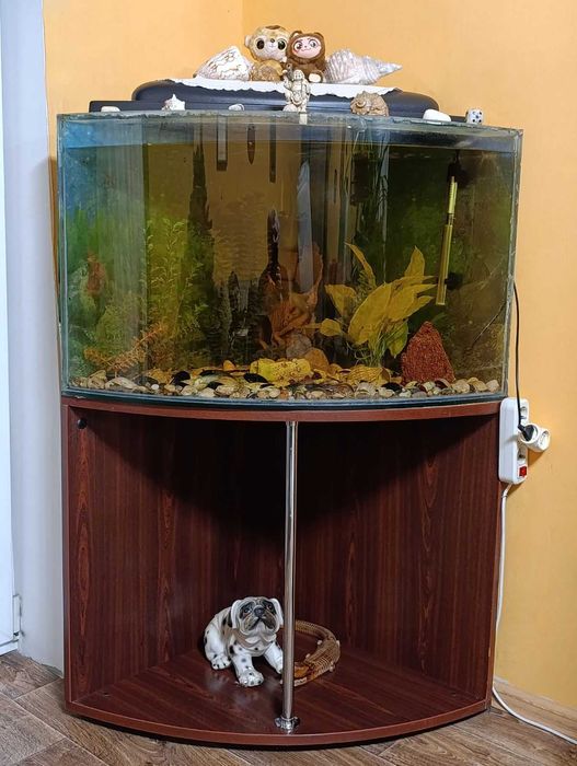 Продається гарний кутовий акваріум