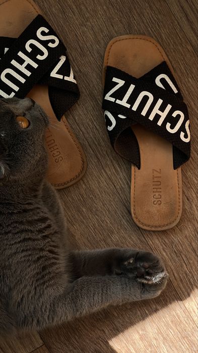 Шльопанці schutz