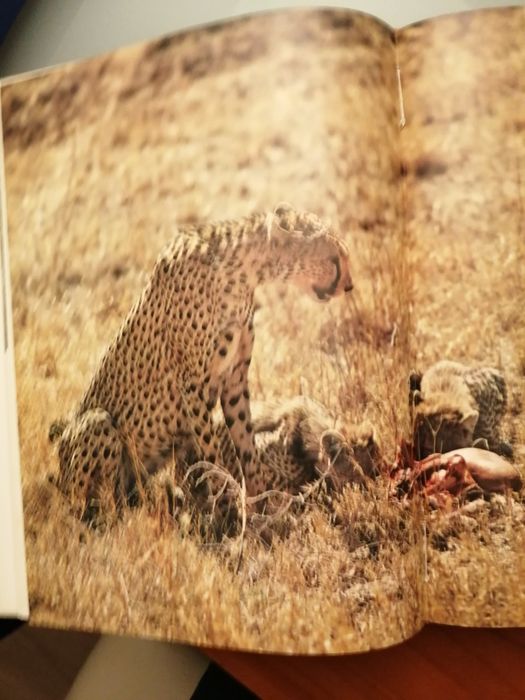 A Fauna Vida e Costumes dos Animais Selvagens Publicações Alfa África*