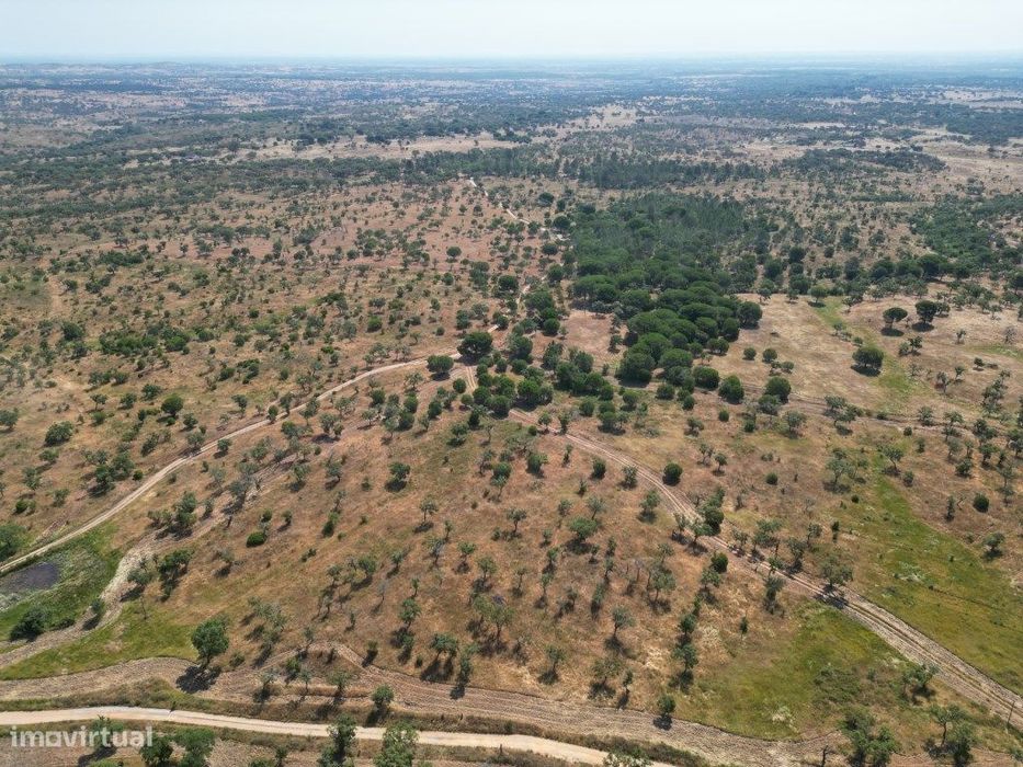 Refúgio rural de amplo potencial