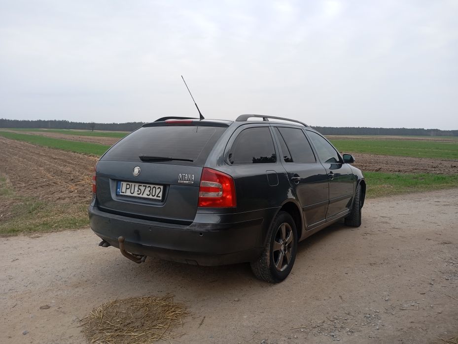 Skoda Octavia 2 1.9 TDI 4×4