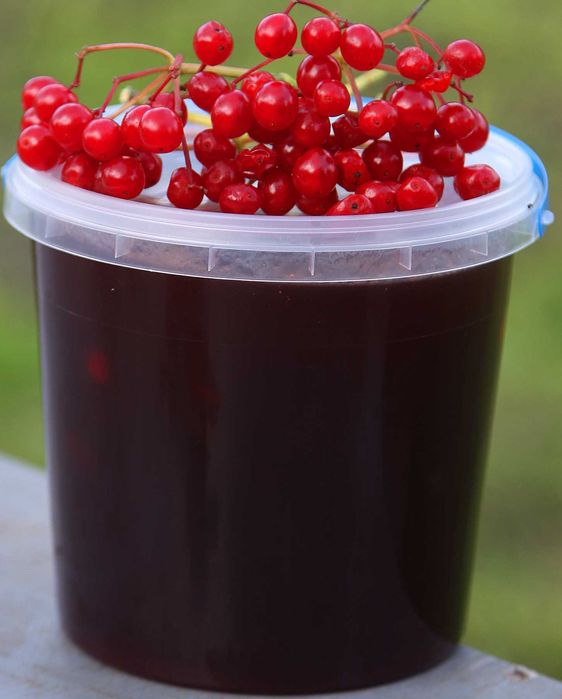 Сік калини.Калина з цукром.Джем.