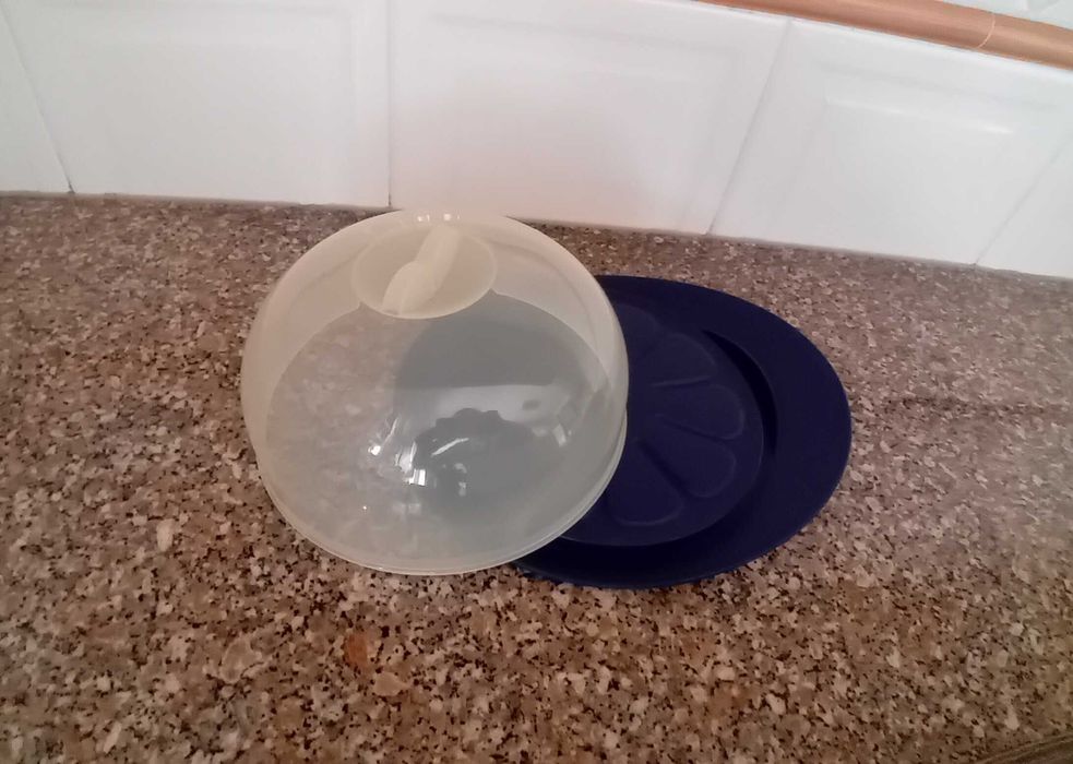 Queijeira Tupperware424290813803253761