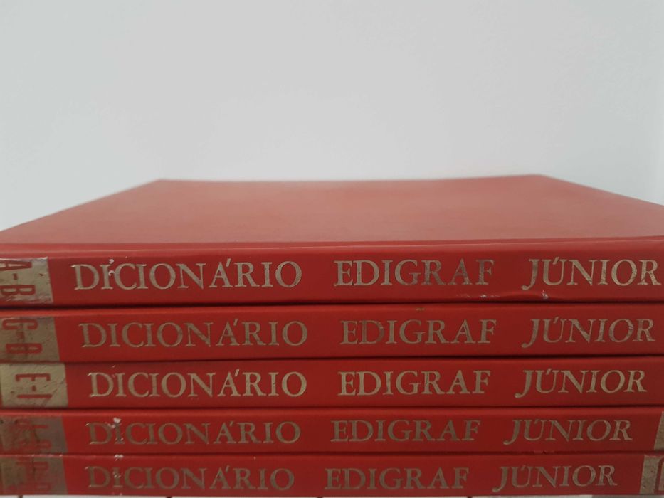 Dicionário Edigraf Júnior 5 livros