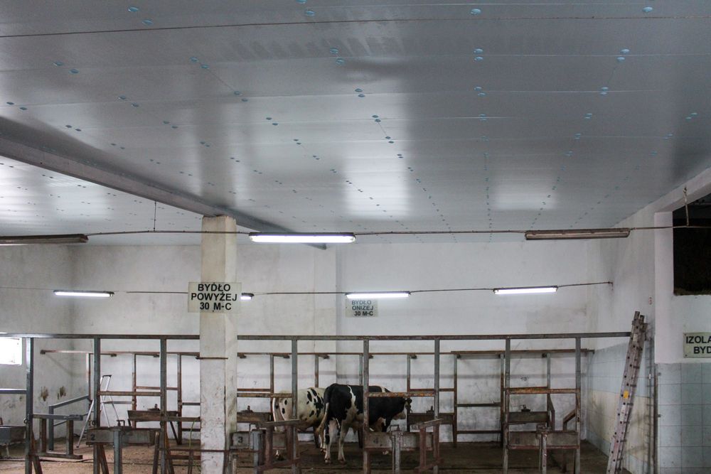 Izolacja Styrodur XPS AGRO Ocieplenie pod Płyty Warstwowe Obornickie