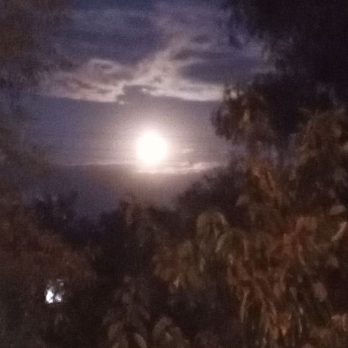 Ищу Гитариста, Басиста, Баранщика с 9 лет до 14