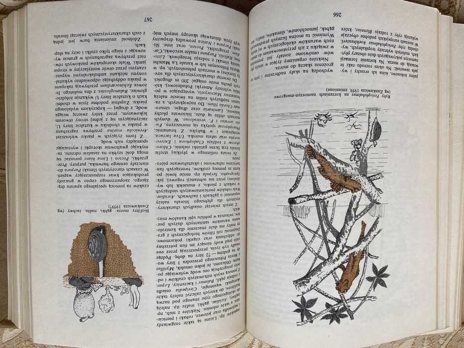 Książka Biologia XX wieku