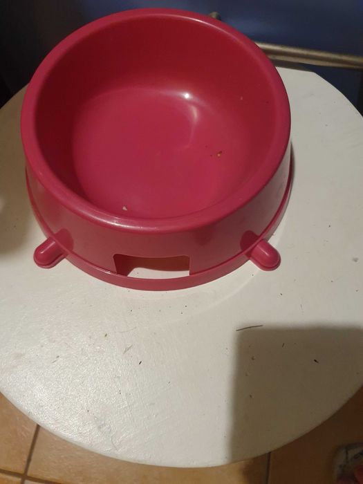 Miska dla psa plastikowa