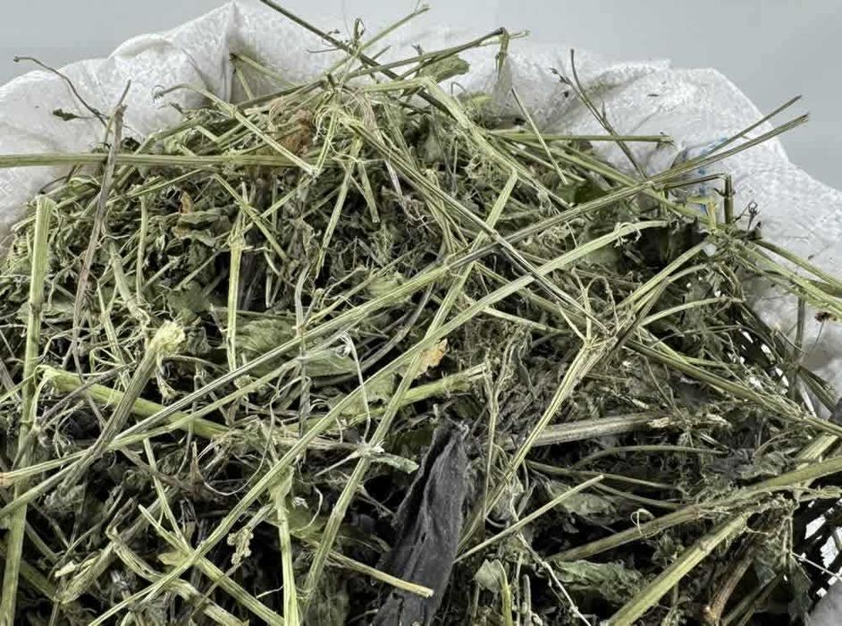 Pokrzywa Suszona Cała 2 KG Urtica Dioica na Herbatki i Płukanki