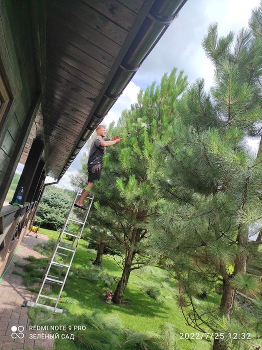 Обработка растений. Автоматический полив. Рулонный газон. Садовник.