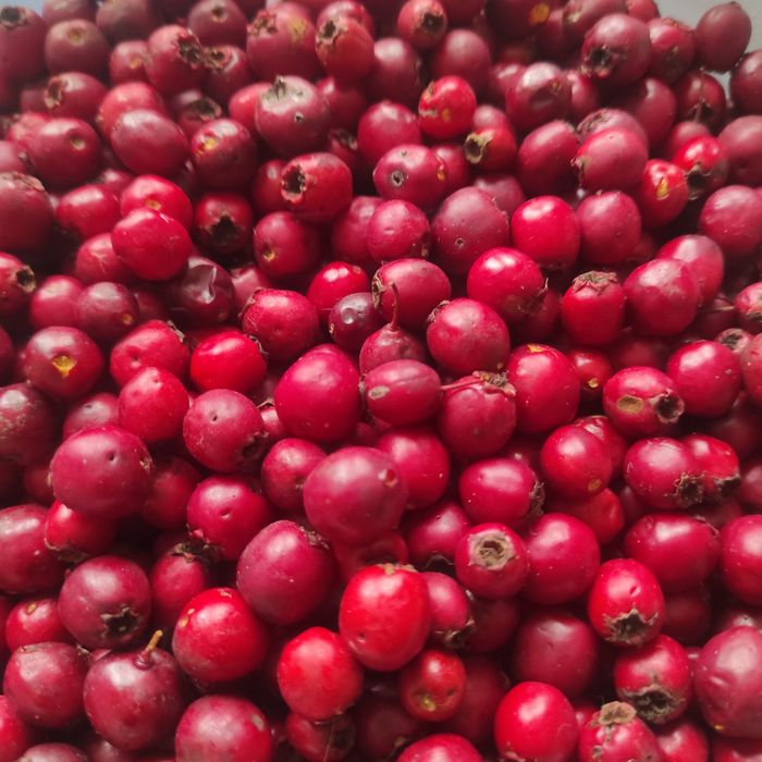 Owoc głogu suszony 200 g.