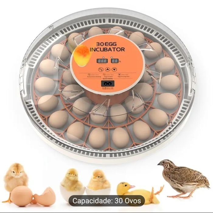 Incubadora 30 ovos