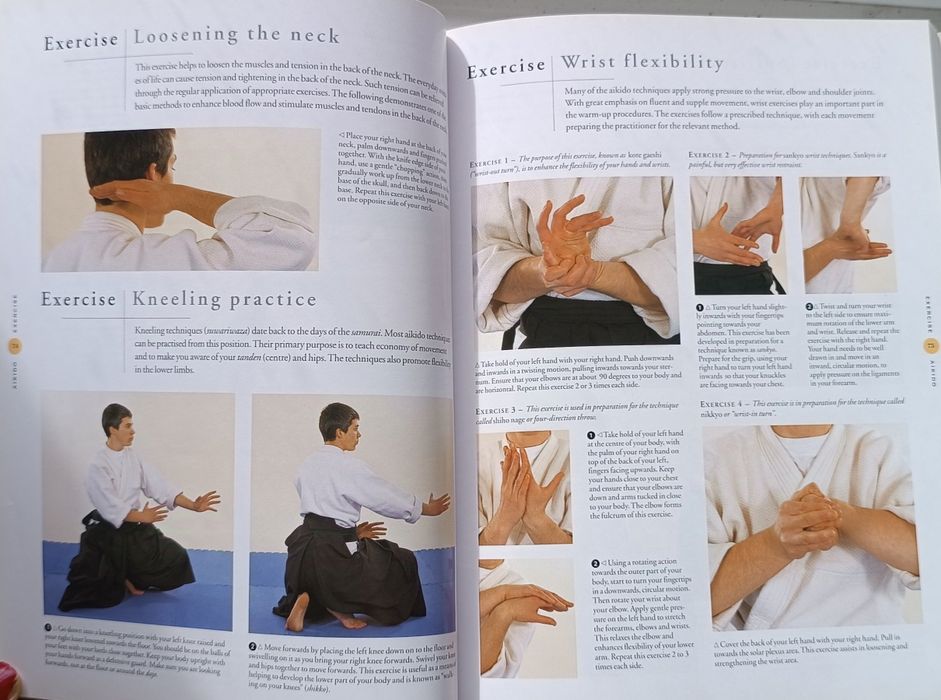Manual prático de artes marciais "The Ultimate Book of Martial Arts"